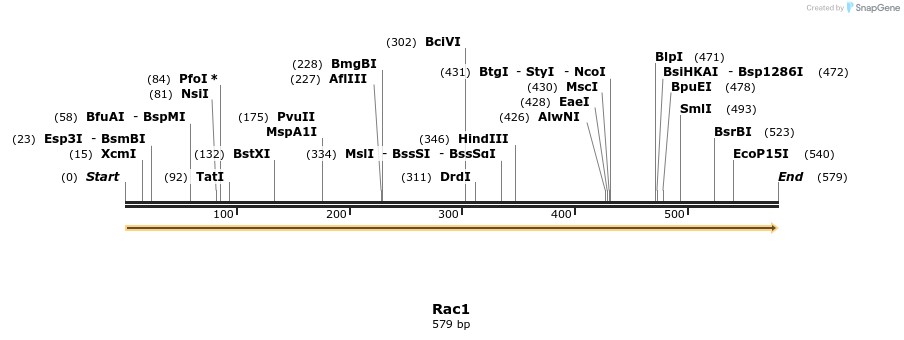 86253_map