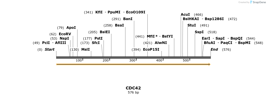 86255_map
