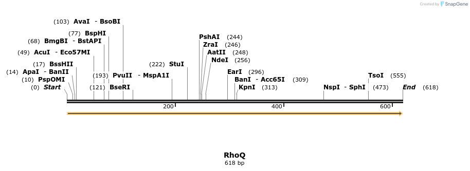 86260_map