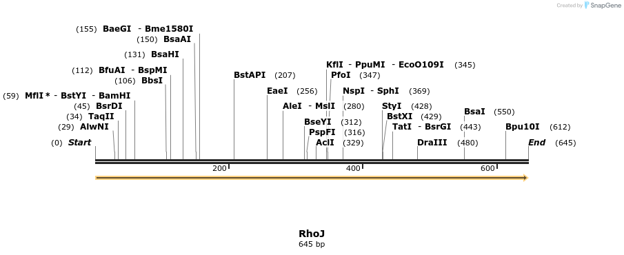 86262_map