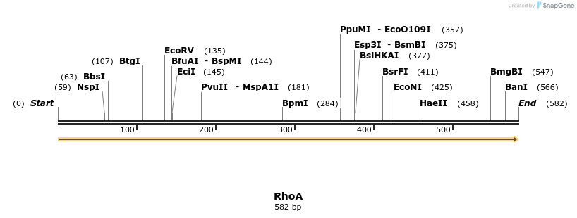 86271_map