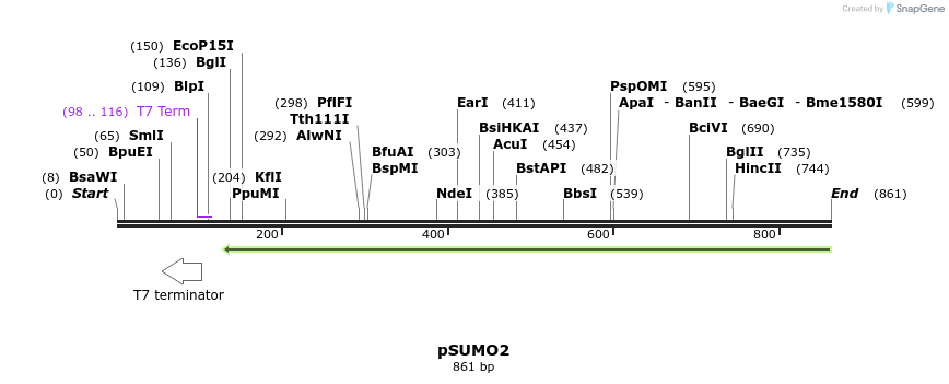 86279_map