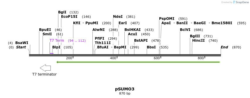 86284_map