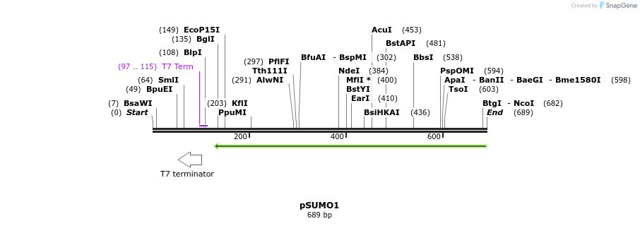 86287_map