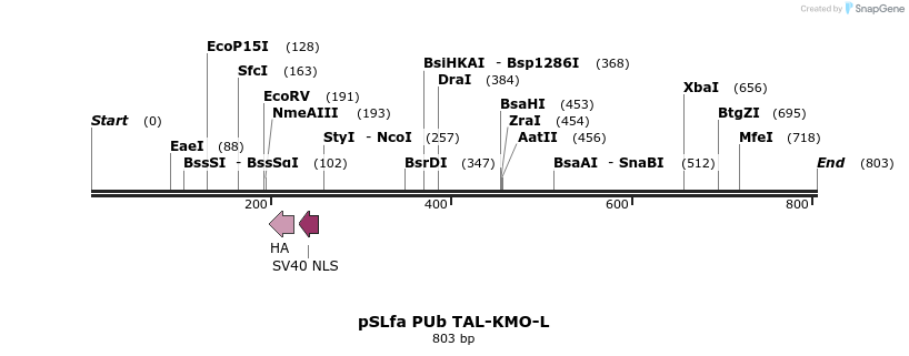 86294_map