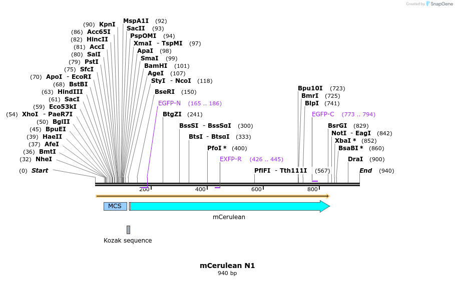 86303_map