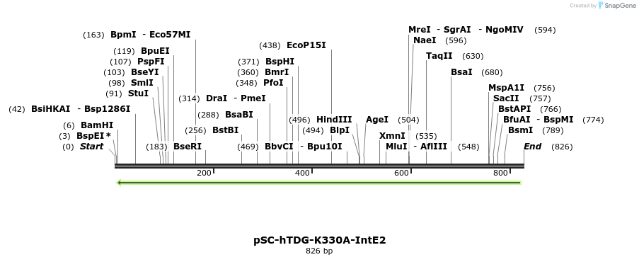 86317_map