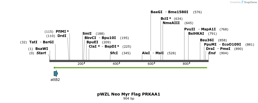 86319_map