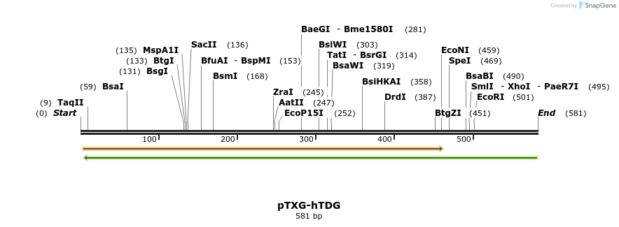 86338_map