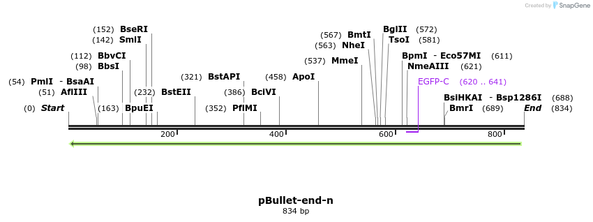 86339_map