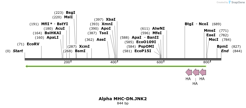 86342_map
