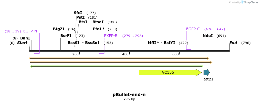 86343_map