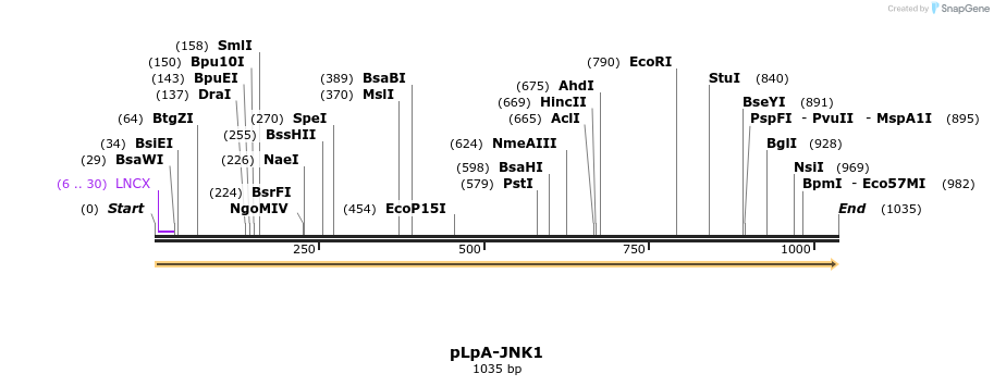 86347_map