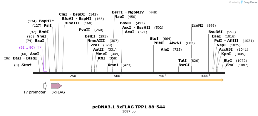 86351_map
