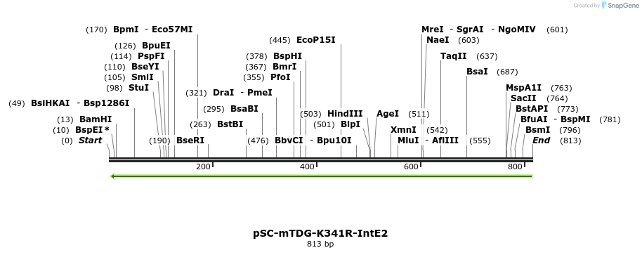 86352_map