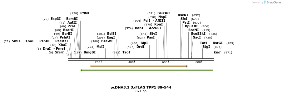 86357_map