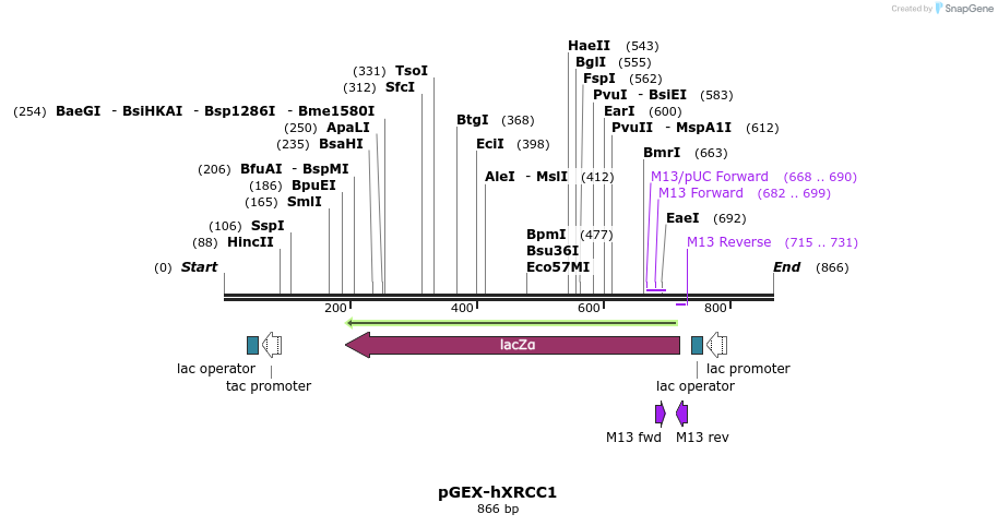 86361_map