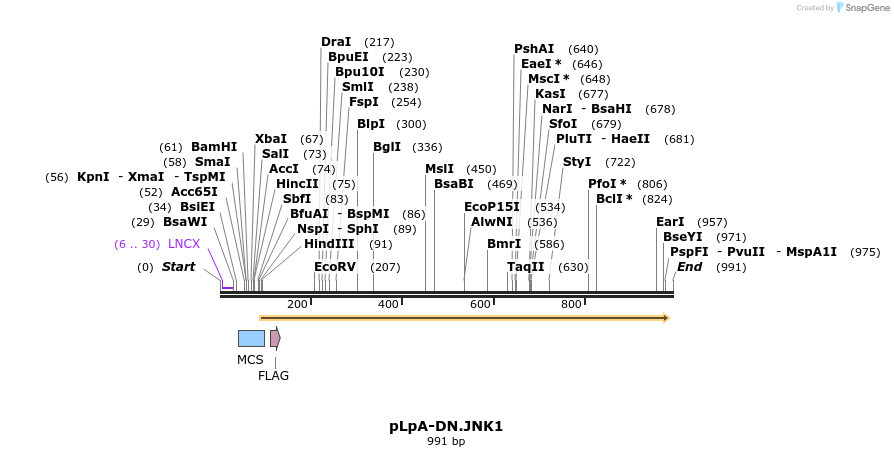 86364_map