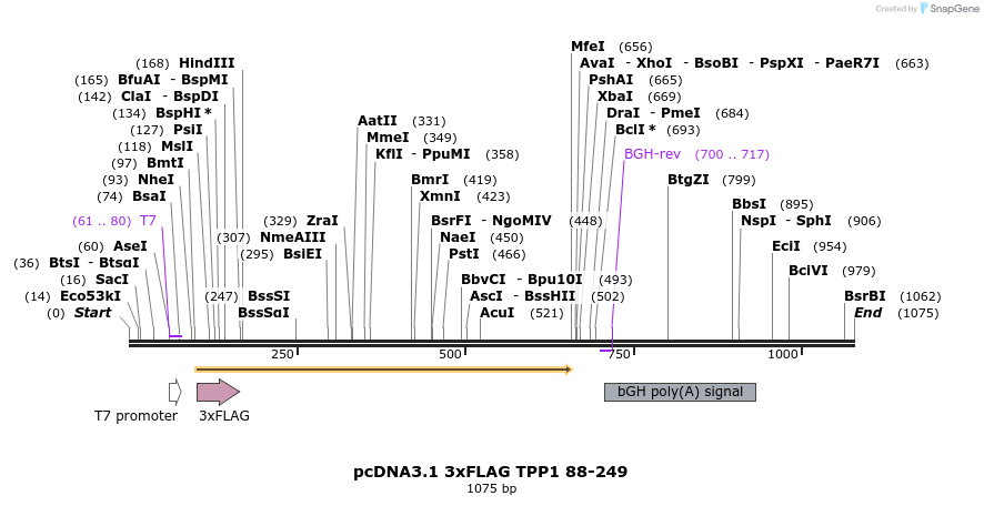 86369_map