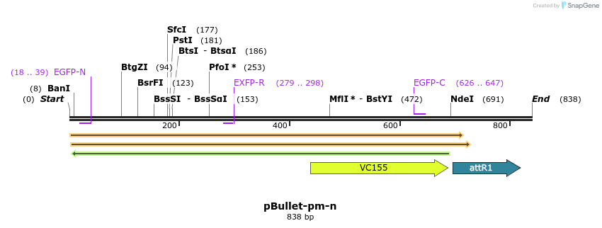 86376_map