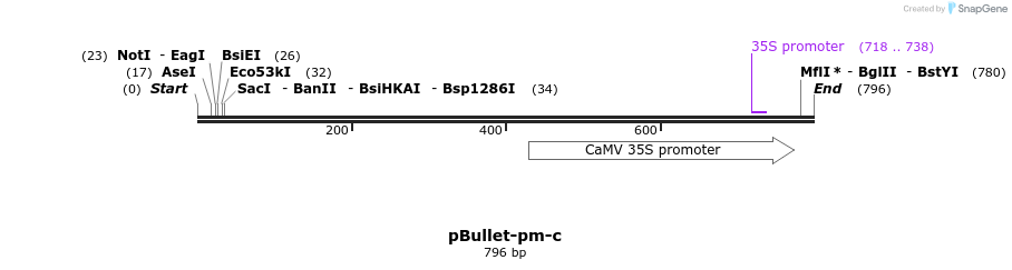 86384_map