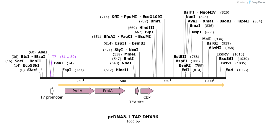 86397_map