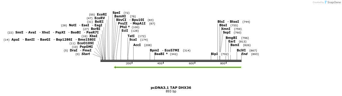 86399_map