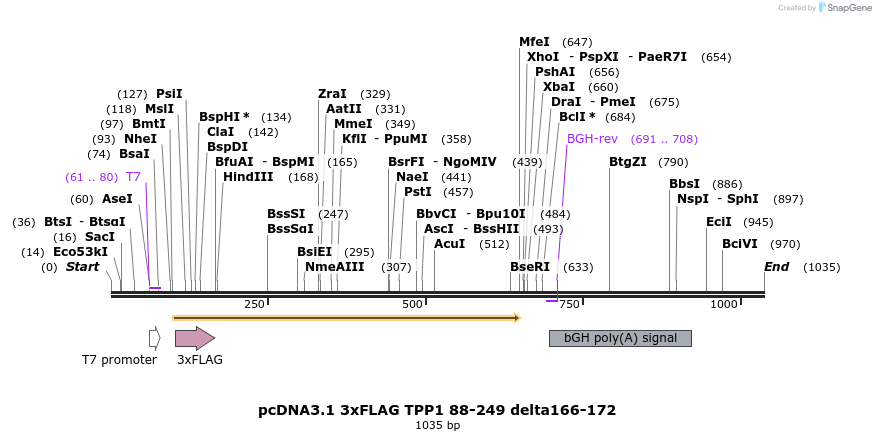 86401_map