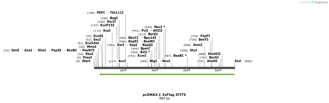 86405_map
