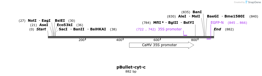 86416_map