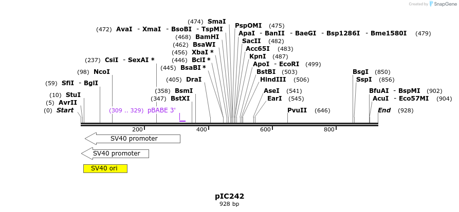 86419_map