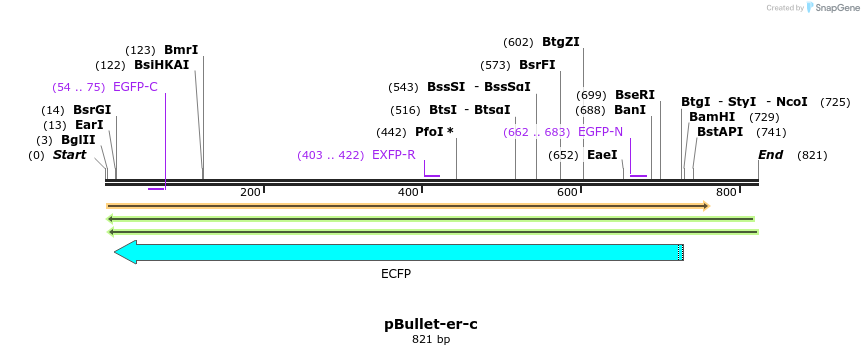 86425_map