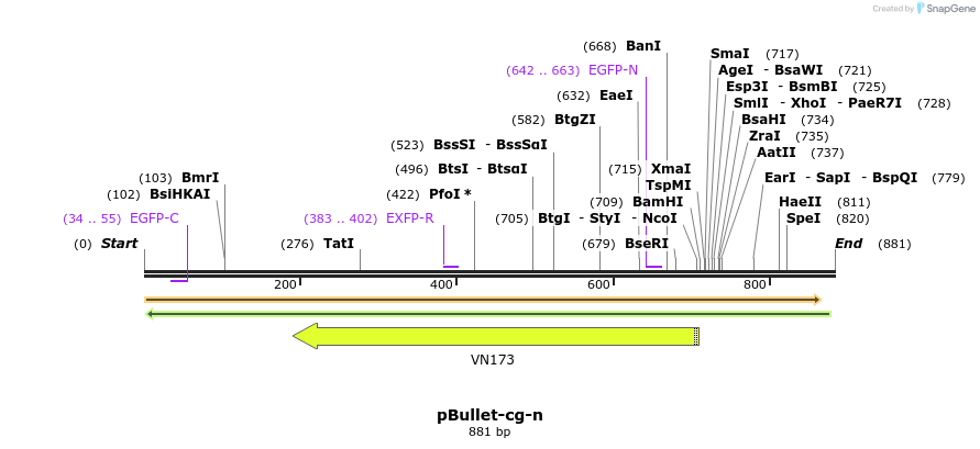 86429_map