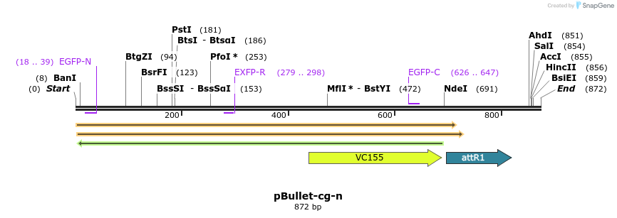 86431_map