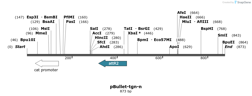 86434_map