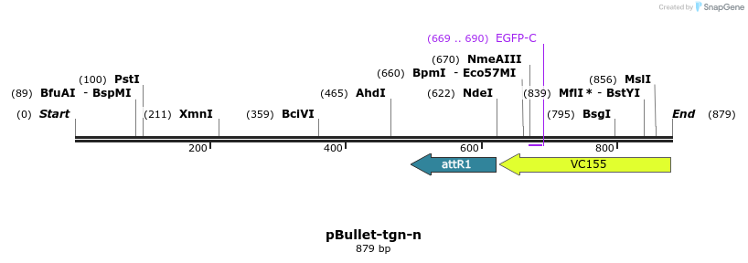86435_map