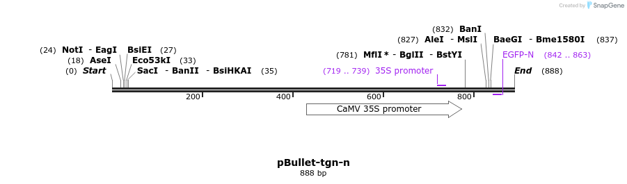86439_map