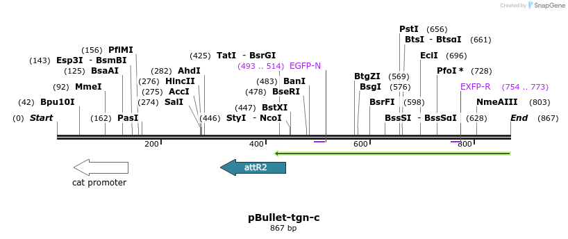 86441_map