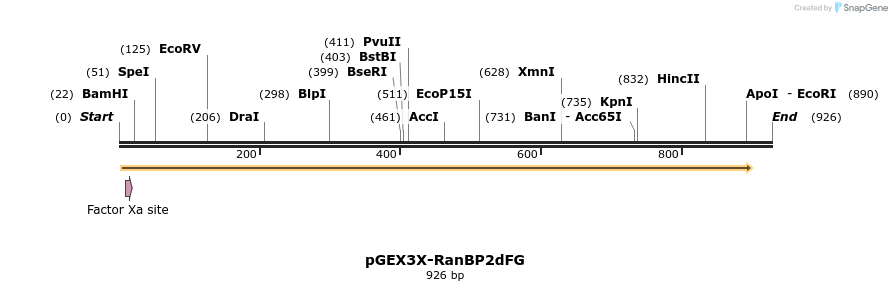 86456_map
