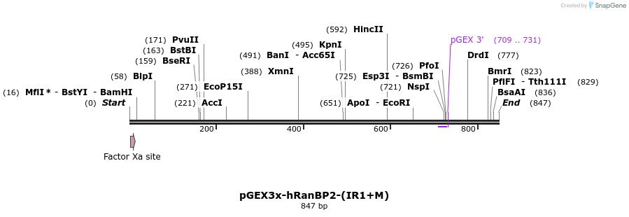 86466_map