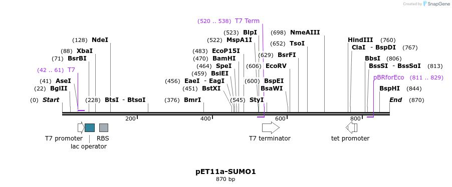 86467_map