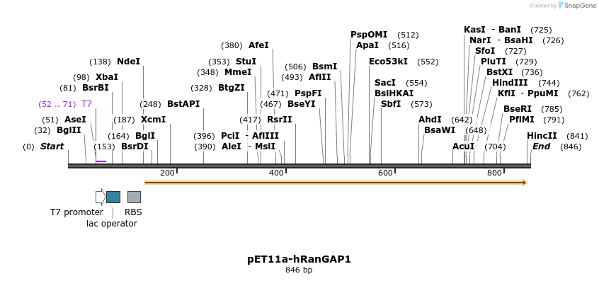 86468_map