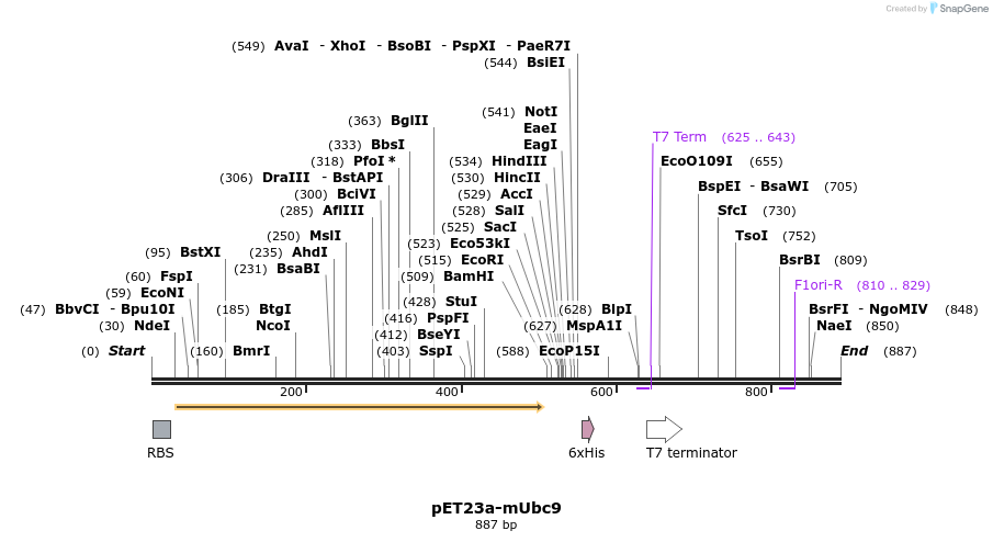 86470_map
