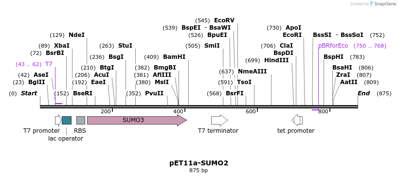 86473_map