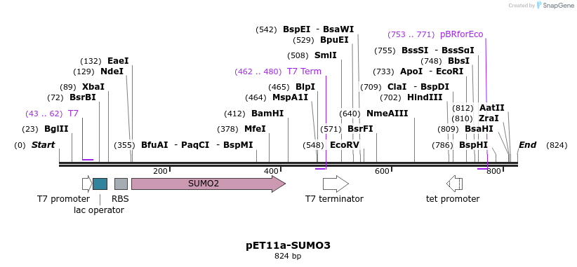 86474_map
