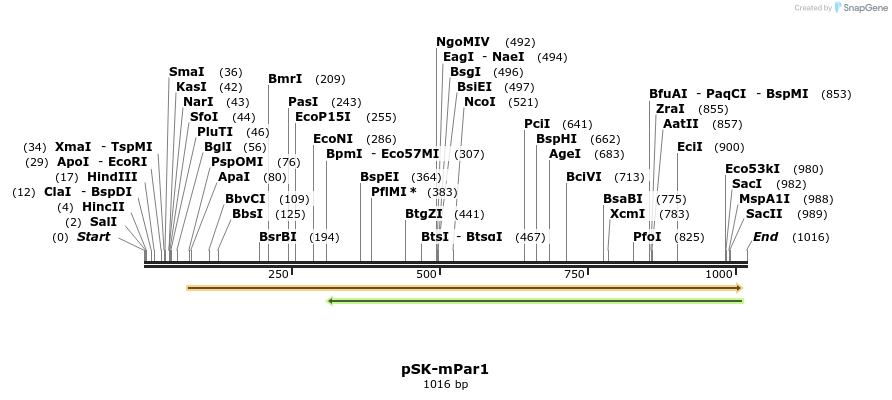 86476_map