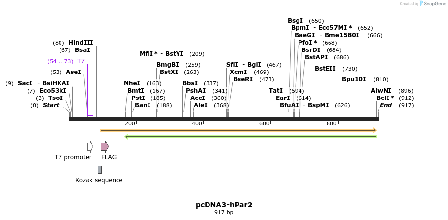86478_map