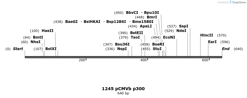 86481_map