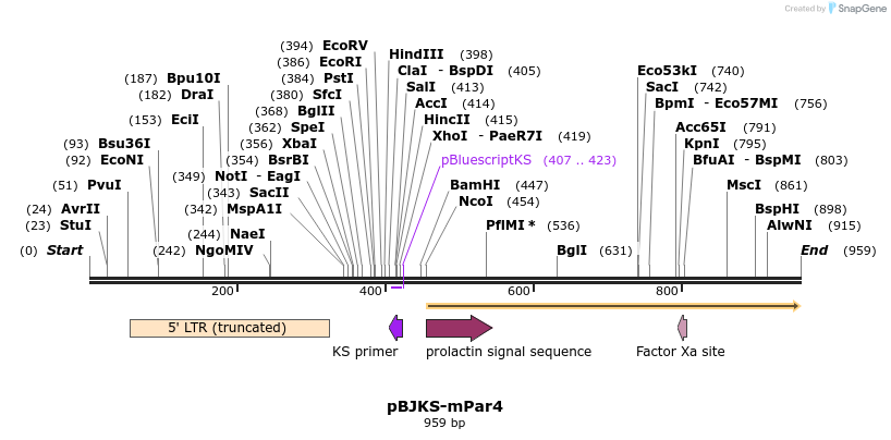 86488_map