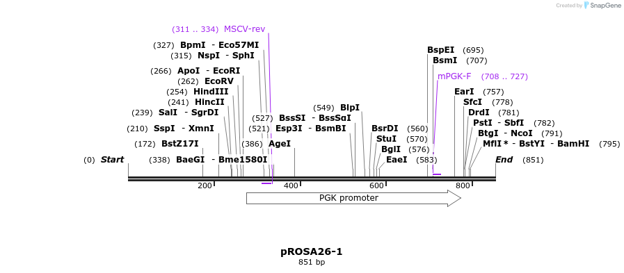 86491_map